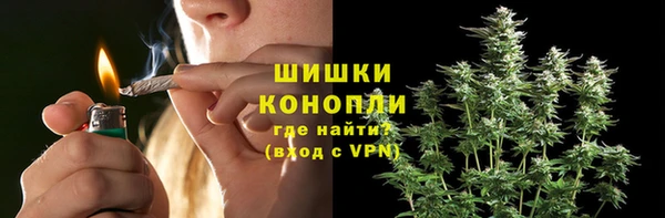 СК Новозыбков