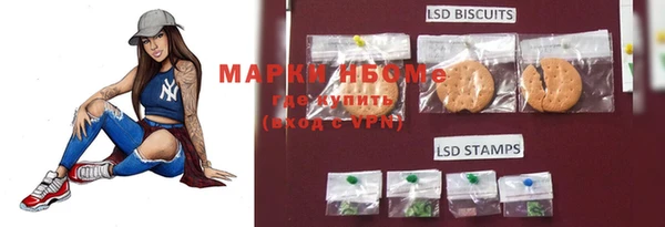 СК Новозыбков