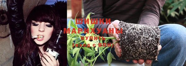 СК Новозыбков