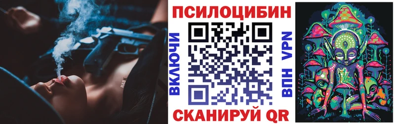 Псилоцибиновые грибы Psilocybine cubensis  Андреаполь 